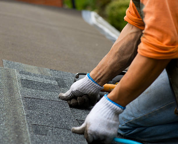 Best Metal Roofing Contractor  in Van Vleck, TX